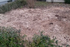 bild5